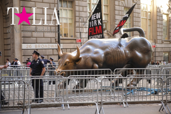 Знаменитый бронзовый бык. Правда, стоит он не на самой Уолл-стрит, а рядом - на Бродвее.